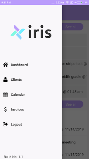 Iris Works Screen 2
