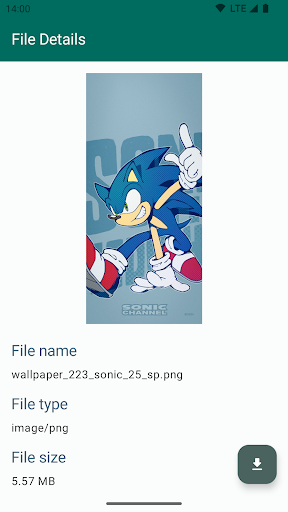 Save Locally: Share2Storage Screen 3