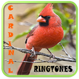 Cardinal Ringtones icon