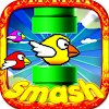 Fun Birds Game - Angry Smash icon