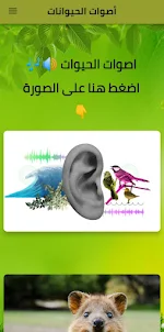 Animal Sounds with Quiz