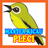 Masteran Kicau Pleci icon