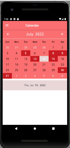 CEFIM Screen 2