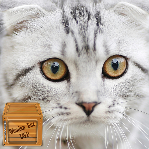 tabby cat wallpaper logo