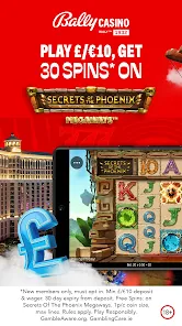 Bally Casino Sports Betting Apps on Google Play