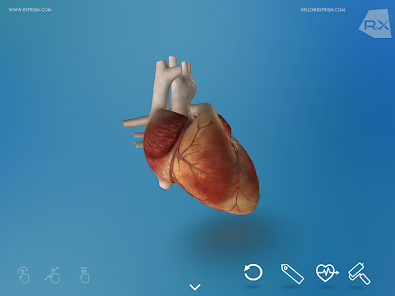 Heart Explore 3D - Apps on Google Play