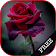I Love Flowers Live Wallpapers, Free Rose Images icon