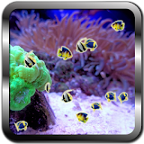 Aquarium Fishes live wallpaper icon