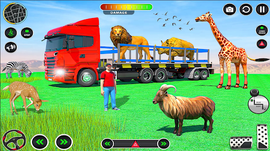 Animals Transport Truck