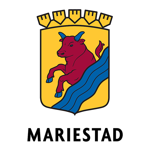 Synpunkter & fel Mariestad logo
