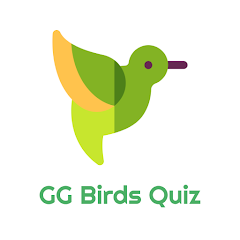 GG Birds Quiz