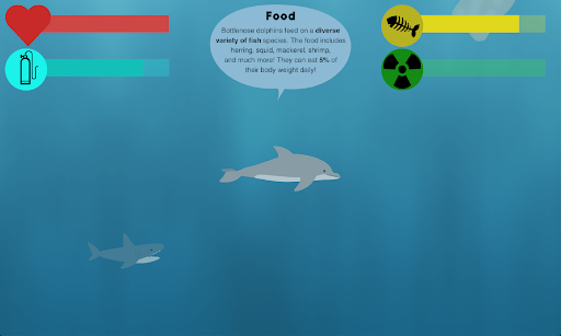 Marine Mammal Mania Screen 3