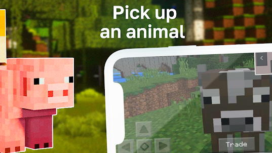 Carry Animals Mod