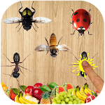 Cover Image of Download Ant Smasher 2d 1.1 APK