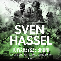 Obraz ikony: Towarzysze broni: Tom 3