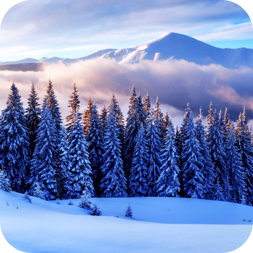 Winter Paradise PRO Logo