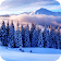 Winter Paradise PRO 4K Live Wallpaper icon