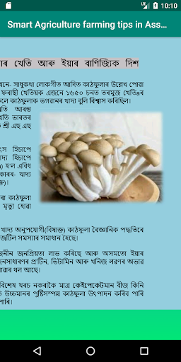 Agriculture farming - Assamese