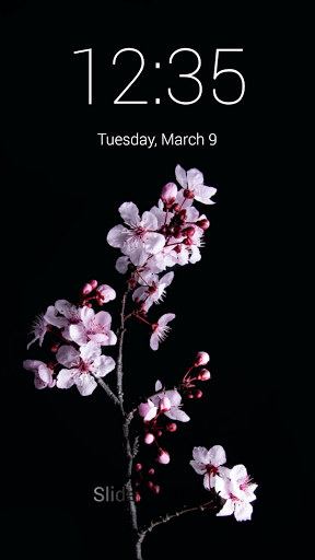 Sakura Lock Screen Screen 2