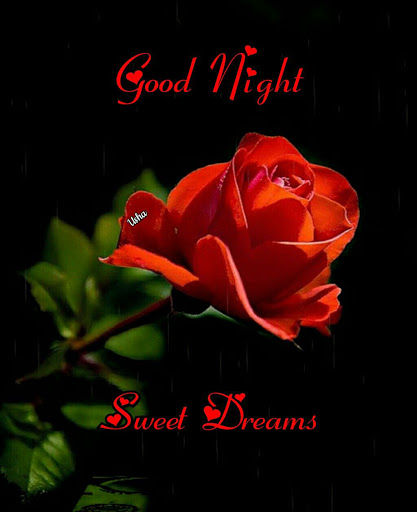 Good Morning and Night Images GIFs with Messages