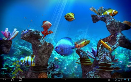 Tropical Ocean 3D LWP Screenshot