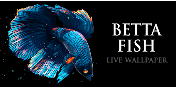 Betta Fish Apps On Google Play