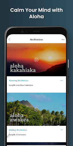 Actions of Aloha Screen 3