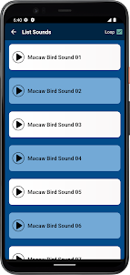 Macaw Bird Sounds