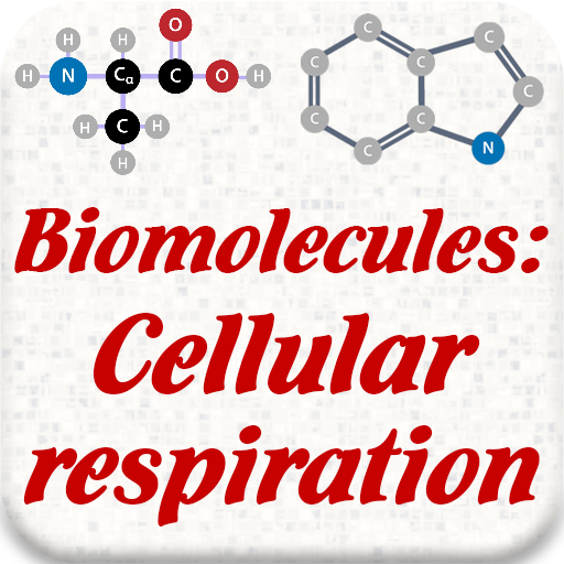 Biomolecules: Cell respiration