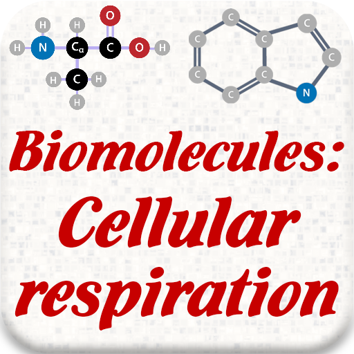Biomolecules: Cell respiration - AppWisp.com