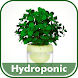 Hydroponic Farming System