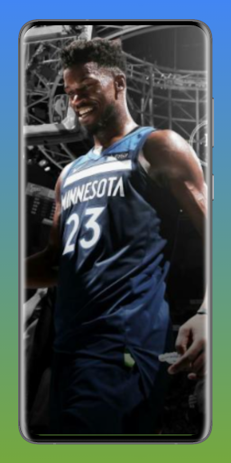 Minnesota Timberwolves fans