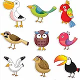 Birds for kids Videos icon