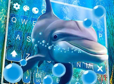 Cute Dolphin Keyboard Theme