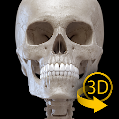 Aplicativo para estudar o corpo humano em 3D