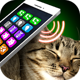 Lullaby Cat Simulator icon