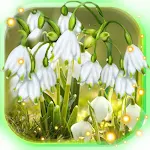 Cover Image of Download Snowdrops Springs Early  APK