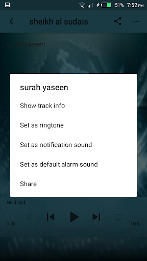 Surah Yaseen mp3 Screen 3