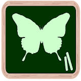 Butterfly Quiz icon