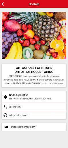 ORTOGROSS Screen 2