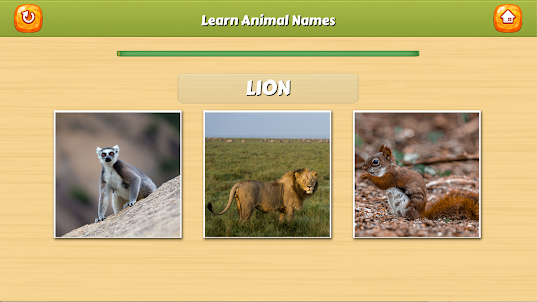 동물 이름 배우기