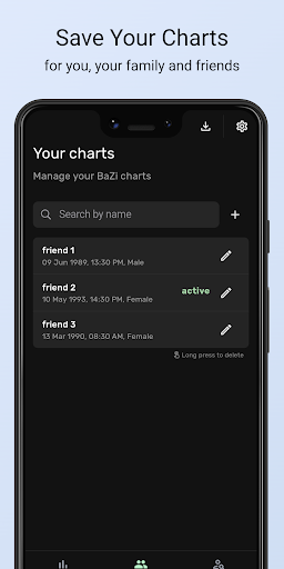 BaZi App Screen 2