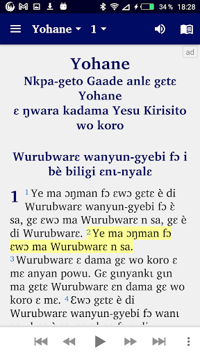 Android application Adele Bible with English screenshort