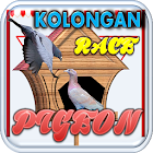 Kolongan Pigeon Race 