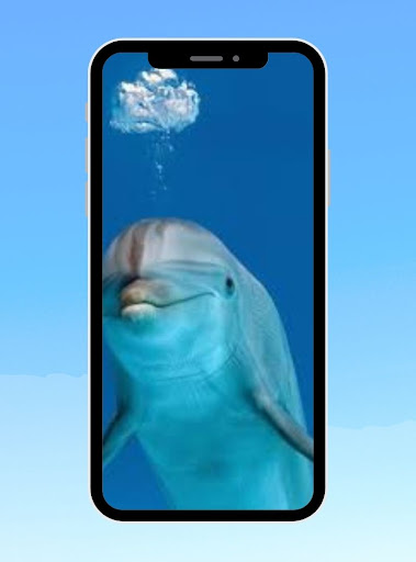 Android application whale and dolphin Wallpaper screenshort