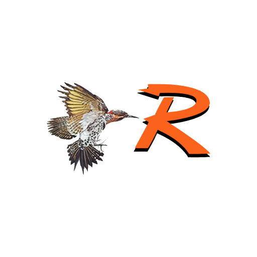 Rotan ISD TX logo