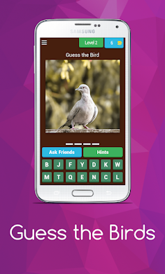 Birds guess - Screenshot 3