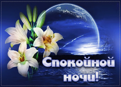 Спокойной ночи Screen 3
