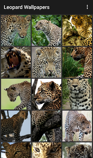 Leopard Wallpapers Screen 2