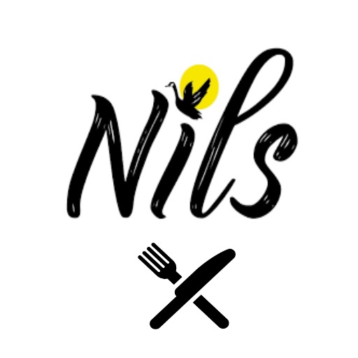 נילס logo